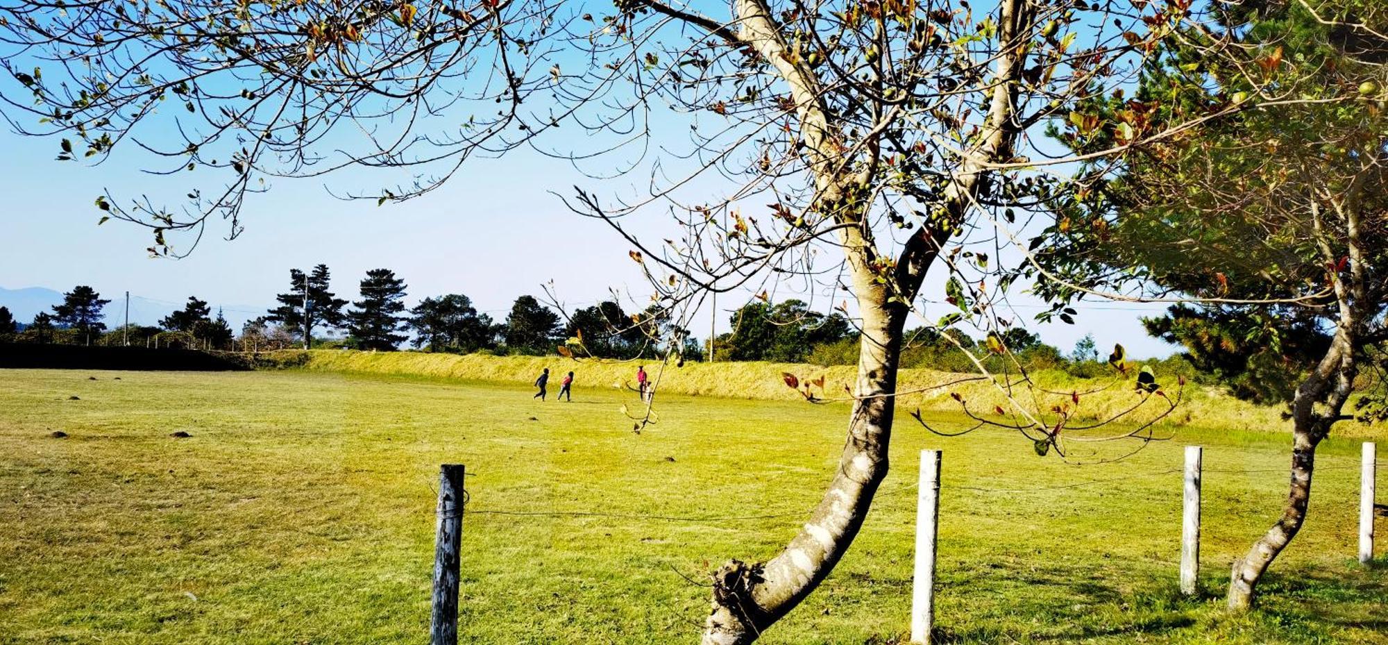 Moonsong Accommodation & Camping Plettenberg Bay Exteriör bild